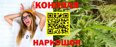 Альфа ПВП Жуковский