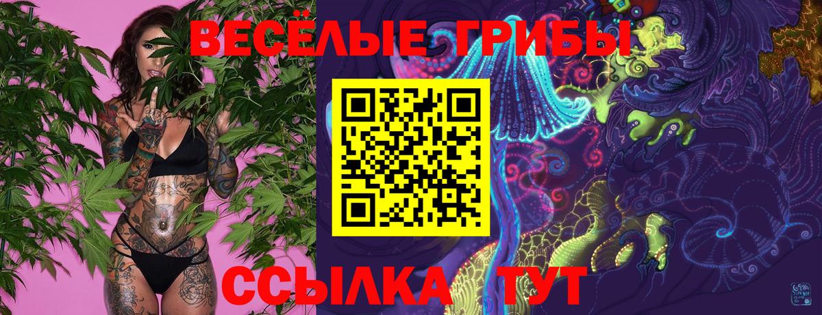 Канаш  Псилоцибиновые грибы Psilocybe  Галлюциногенные грибы ЛСД  Вход с VPN 