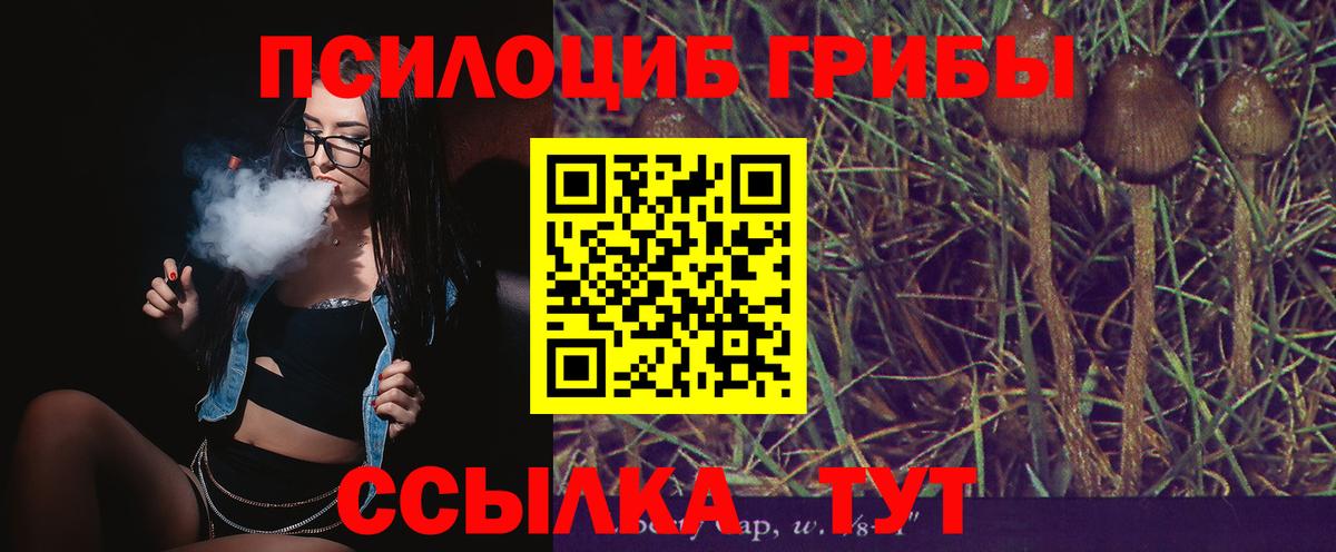 Псилоцибиновые грибы Cubensis Канаш